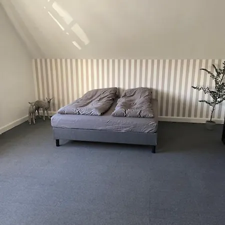 شقة Large 1st Floor Kongerslev