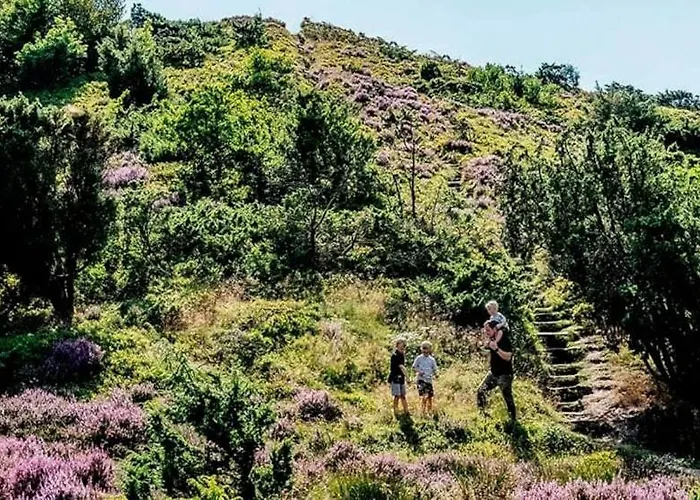 Large 1st Floor * Kongerslev